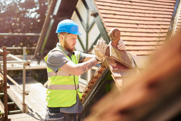 Professional Roofing Contractor in Mesquite, TX
