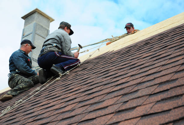 Best Roof Gutter Cleaning  in Mesquite, TX